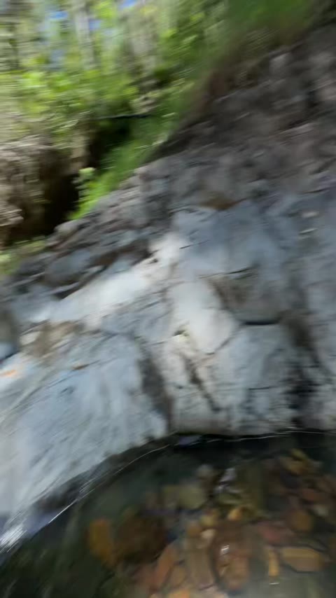 Annapaul Clip #83BH6G