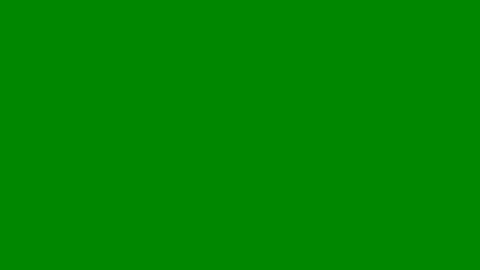 Whoispiperpresley Clip #3GFURs