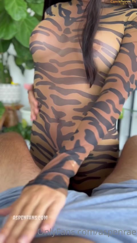 Aspenrae clip