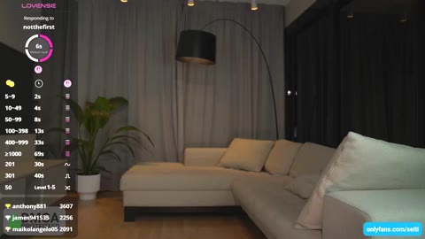 Selti clip