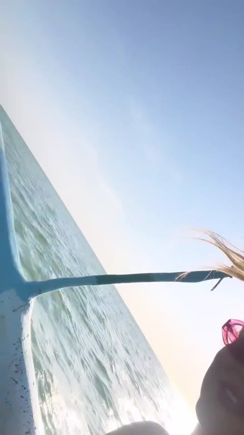 Demirose clip