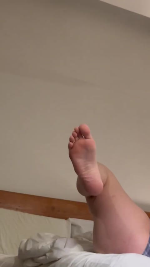 Hollyloly clip